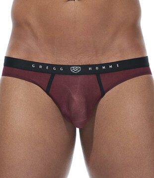 Gregg Homme Torridz brief