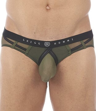 Gregg Homme Erupt brief