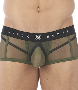 Gregg Homme Erupt boxer brief