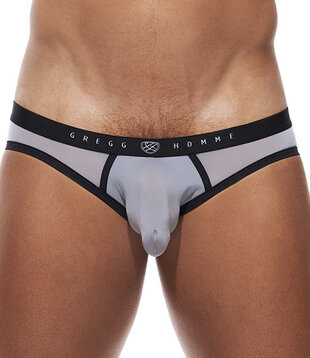 Gregg Homme Room-max brief