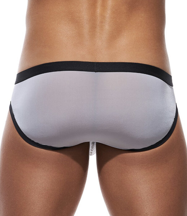 Gregg Homme Room-max brief