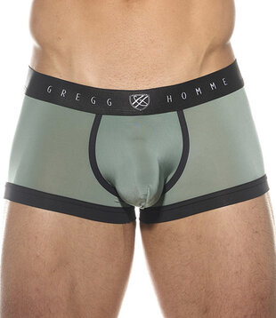 Gregg Homme Room-max boxer brief