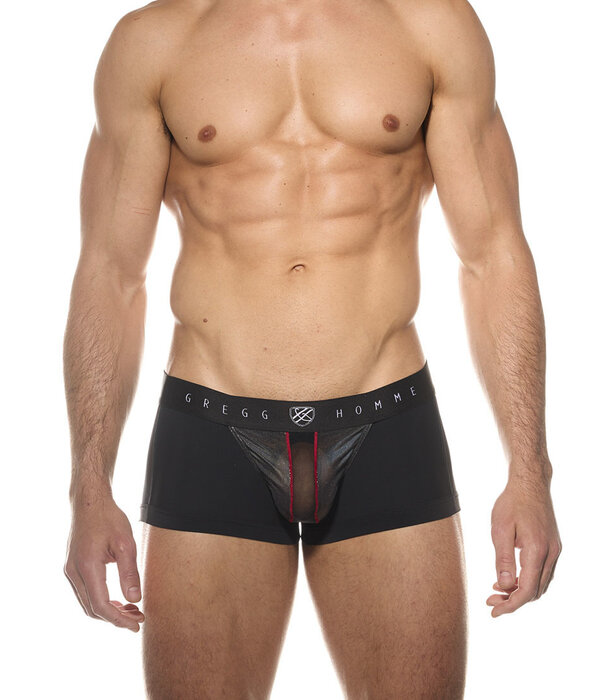 Gregg Homme Magnet boxer