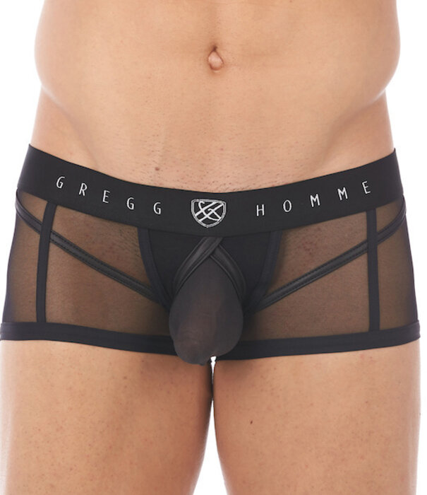 Gregg Homme Erupt boxer brief