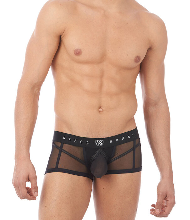 Gregg Homme Erupt boxer brief
