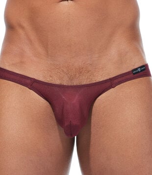 Gregg Homme Torridz  brief