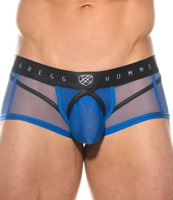 Gregg Homme Erupt  boxer brief