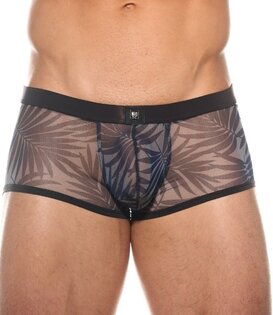 Gregg Homme Outline boxer