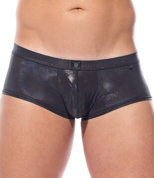 Gregg Homme Boytoy voltz boxer
