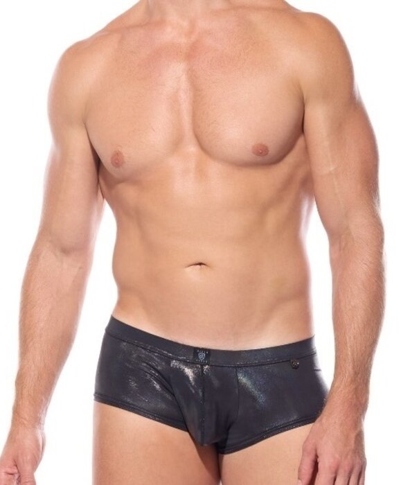 Gregg Homme Boytoy voltz boxer