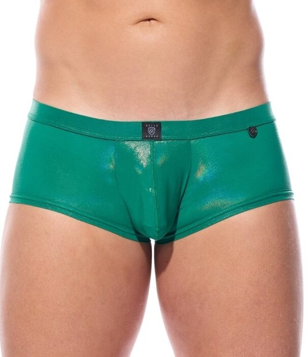 Gregg Homme Boytoy voltz boxer