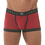 Gregg Homme Room-Max Boxer Brief