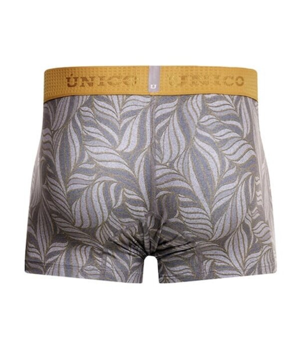 Mundo Unico caudal boxers