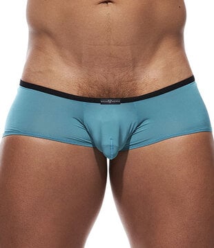 Gregg Homme voyeur square cut brief