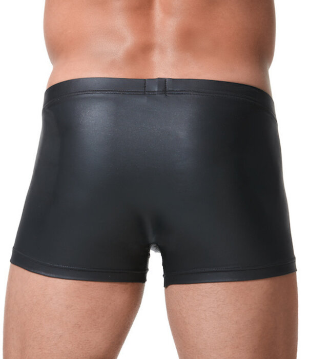 Gregg Homme Crave boxer brief