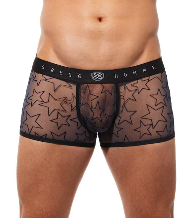 Gregg Homme Starr boxer brief