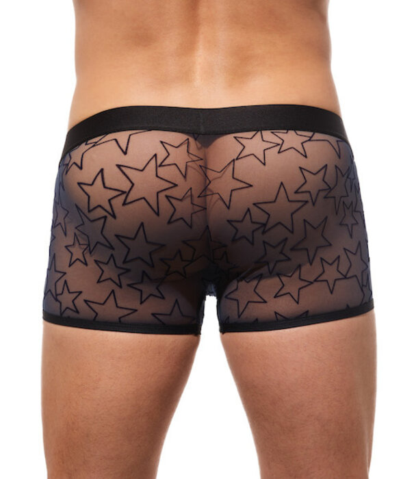 Gregg Homme Starr boxer brief