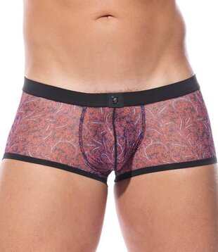Gregg Homme Outline boxershort