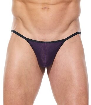 Gregg Homme Torridz herenTanga