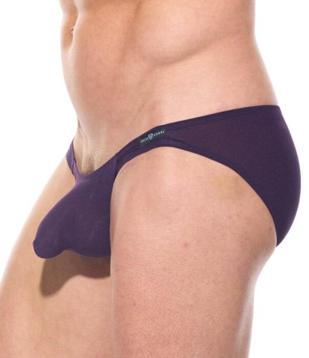 Gregg Homme Torridz Slip