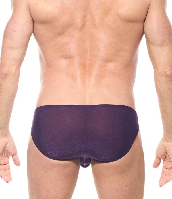 Gregg Homme Torridz Slip