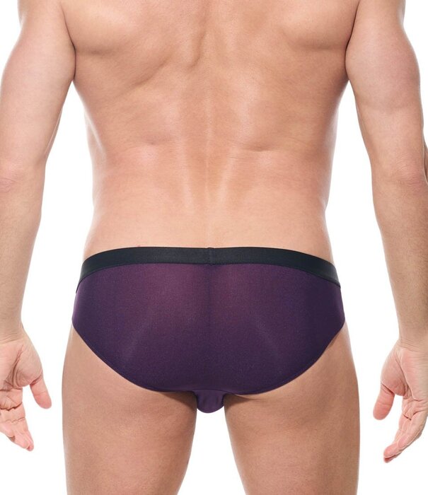 Gregg Homme Torridz Slip