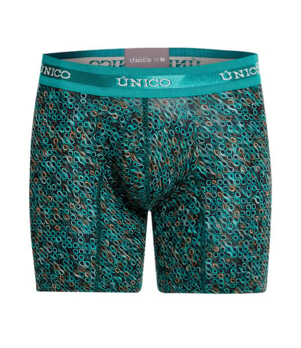Mundo unico dendrita boxers medio