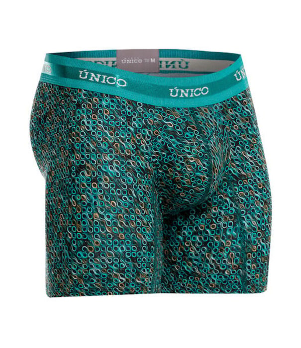 Mundo unico dendrita boxers medio