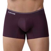 Clever valladolid boxers
