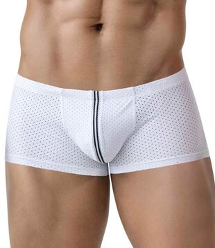 Clever clay latin boxers