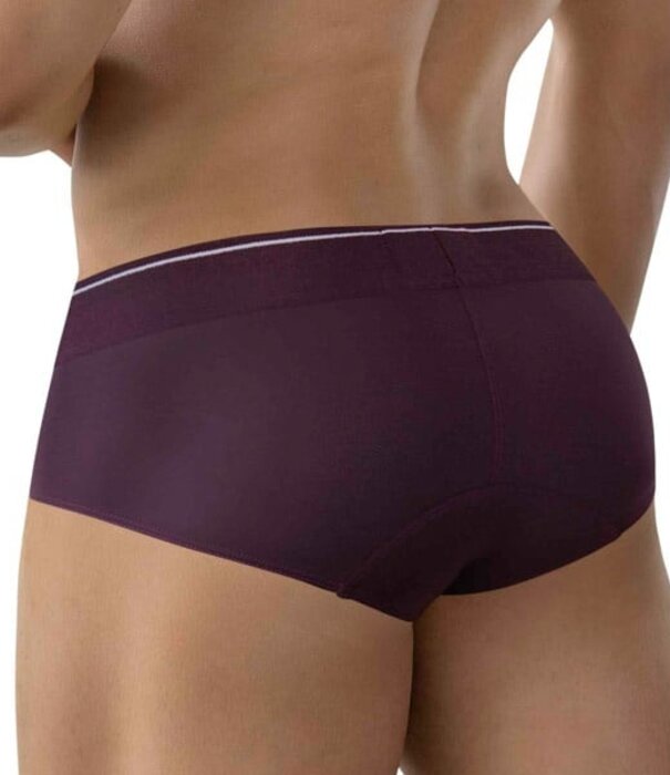 Clever valladolid classic brief
