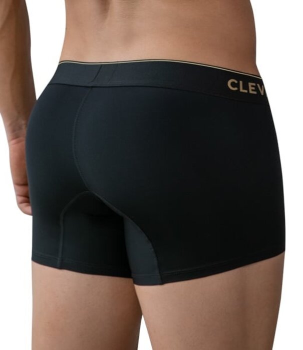 Clever valladolid boxers