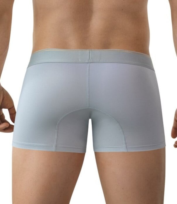 Clever valladolid boxers