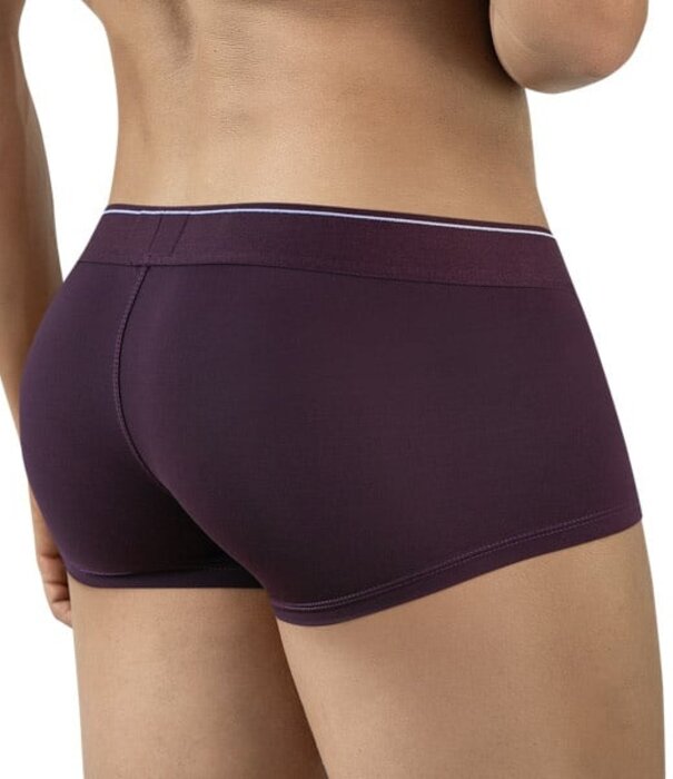 Clever mendoza latin boxershort