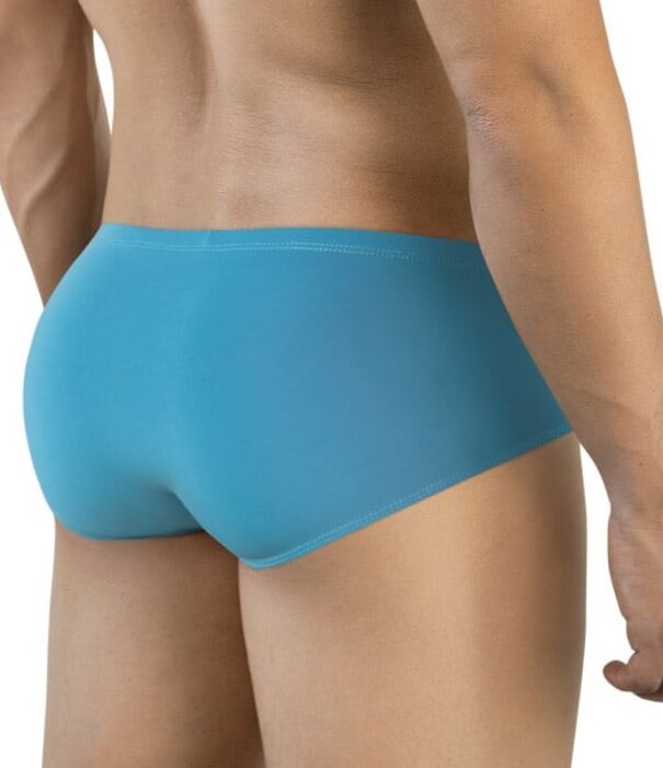 Clever mendoza brief