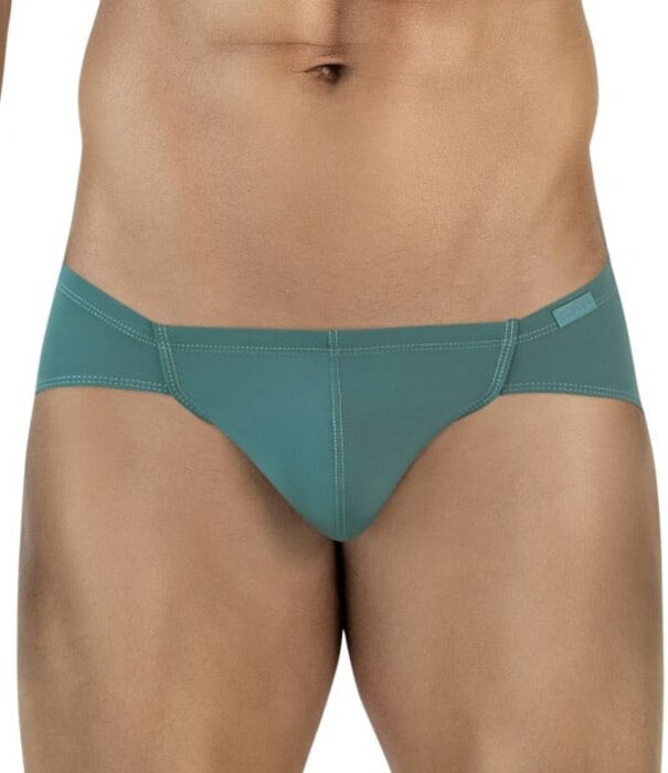 Clever mendoza brief