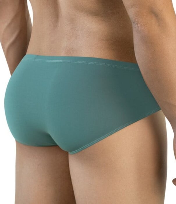 Clever mendoza brief