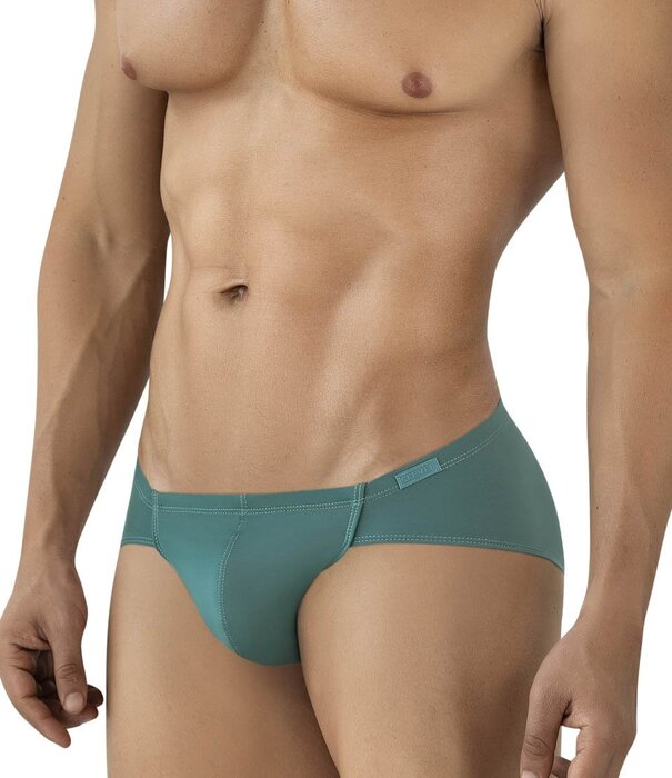Clever mendoza brief
