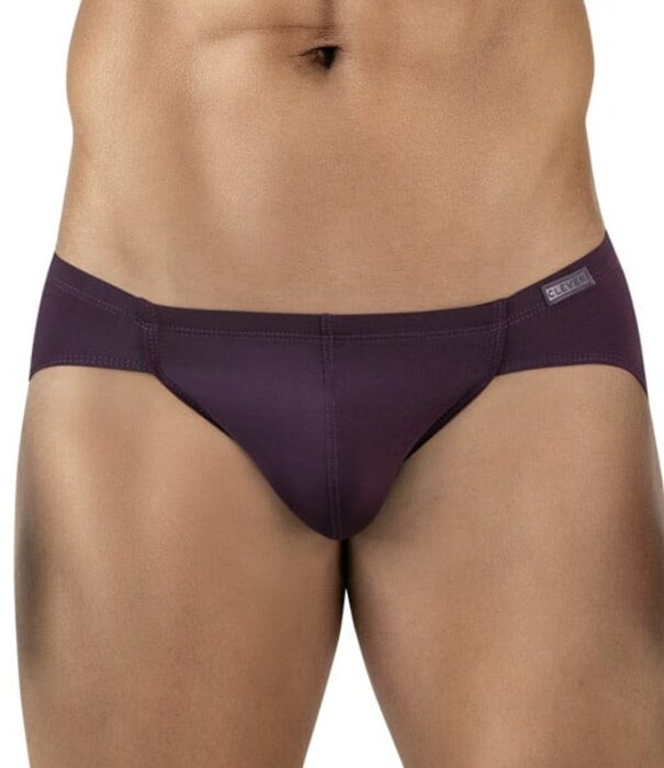 Clever mendoza brief