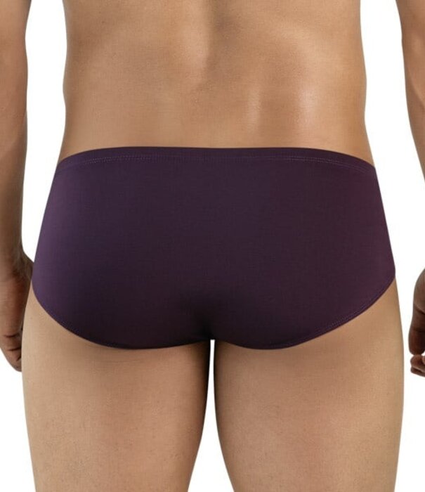 Clever mendoza brief