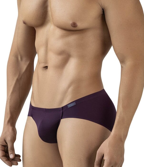 Clever mendoza brief