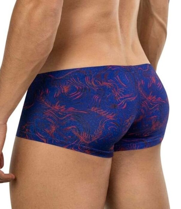 Clever helion latin Boxershorts