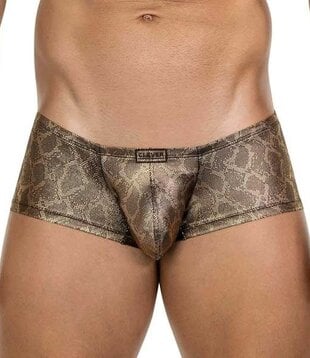 Clever atlas latin boxers