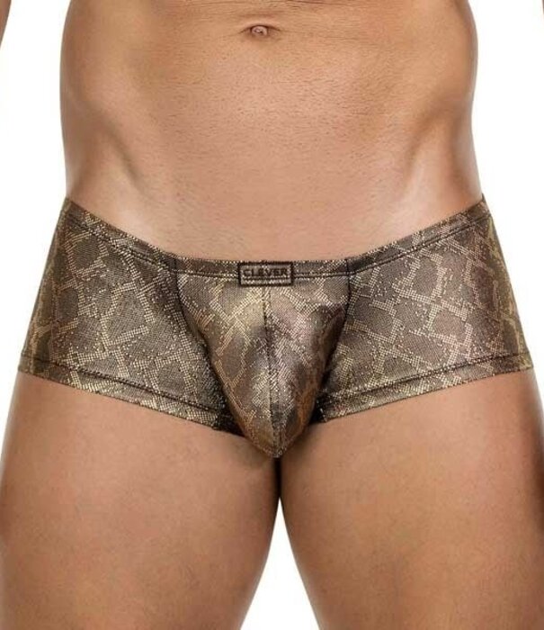 Clever atlas latin boxers