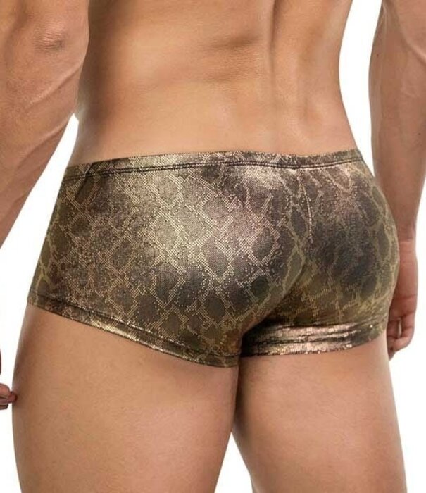 Clever atlas latin Boxershorts
