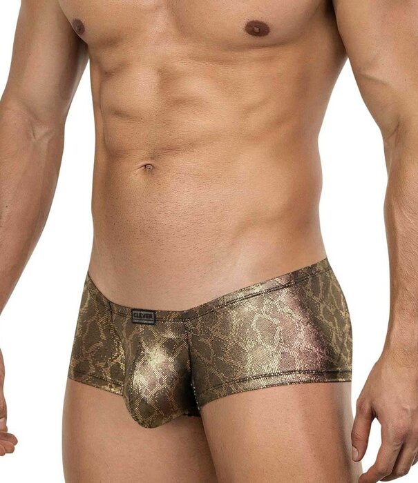 Clever atlas latin boxers