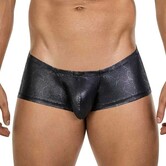 Clever atlas latin boxers