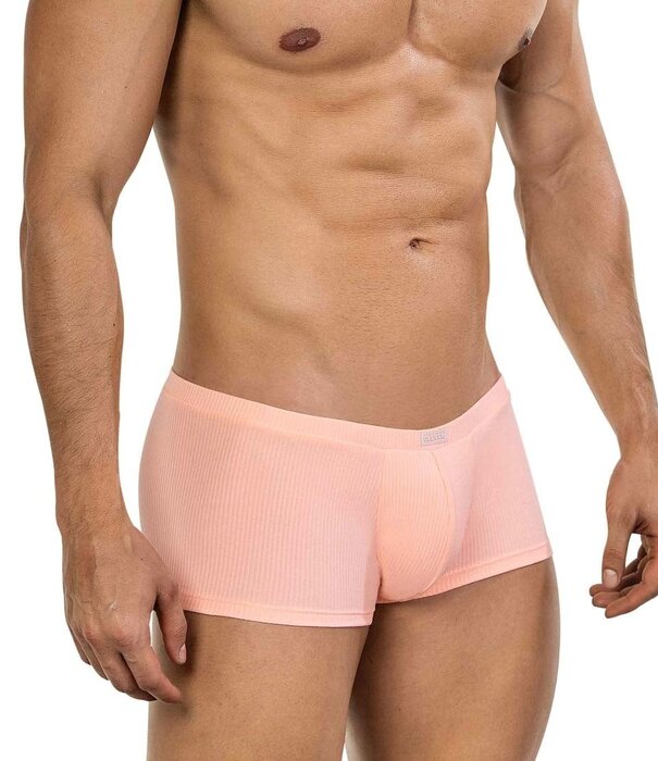 Clever apolo latin boxers