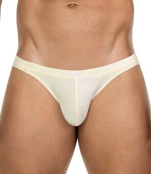 Clever apolo brief