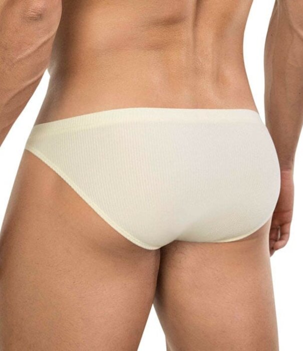 Clever apolo brief